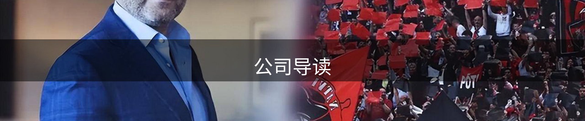 公司导读